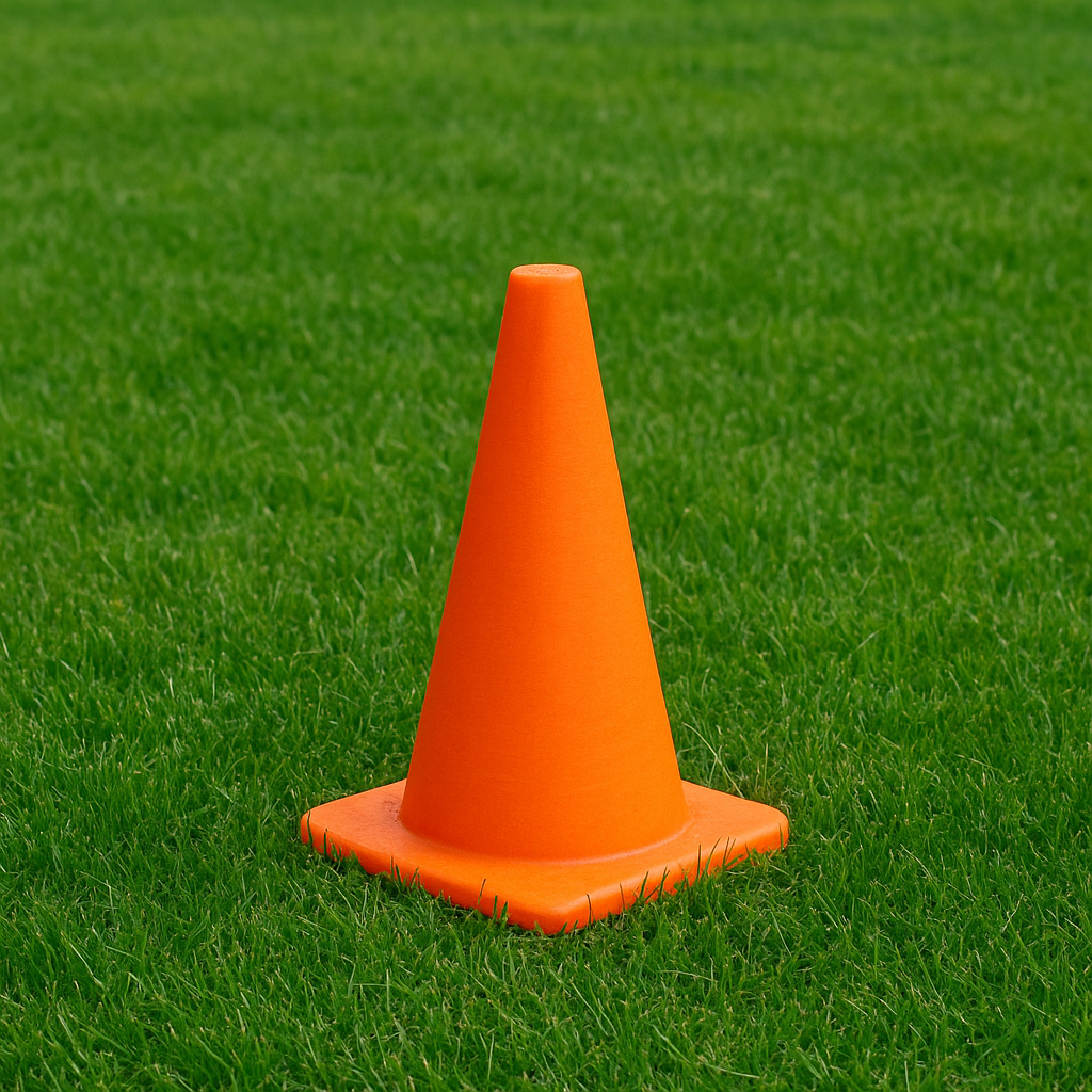 Safety Cone on green grass
